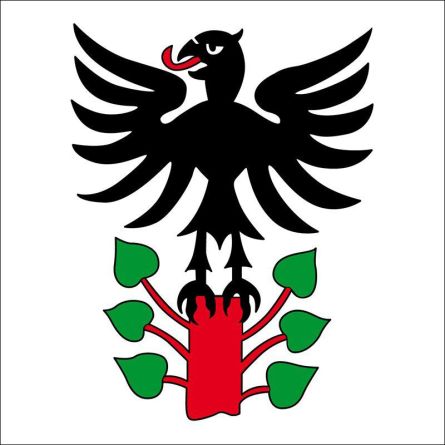 Steinen flag