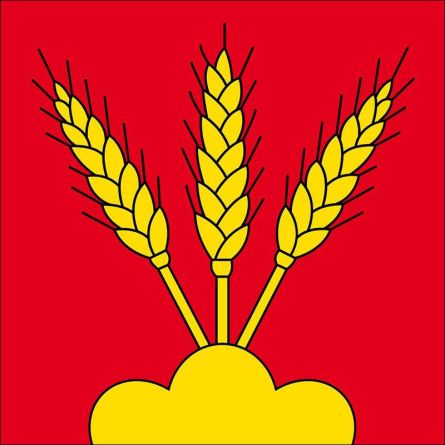 Biezwil flag