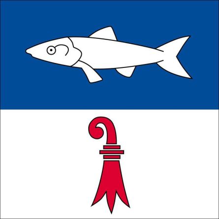Bärschwil flag