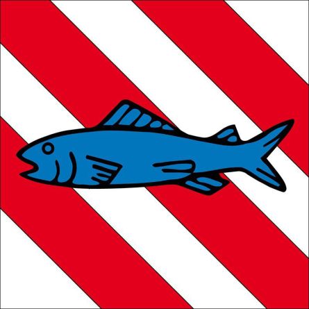 Derendingen flag