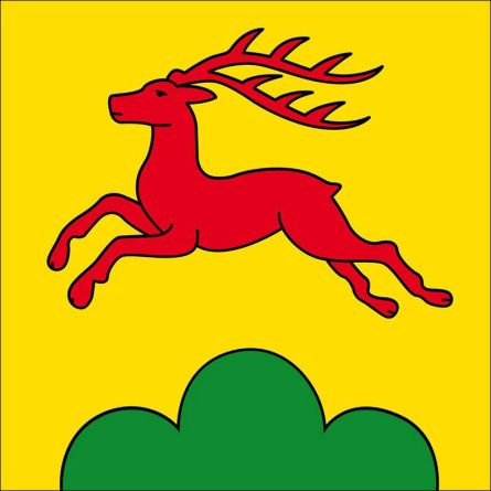 Günsberg flag