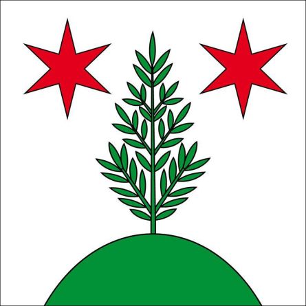 Himmelried flag