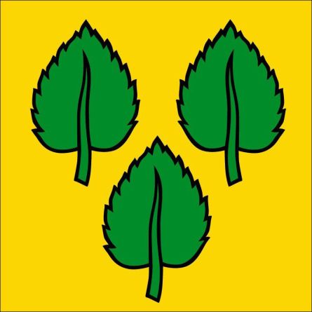 Kriegstetten flag