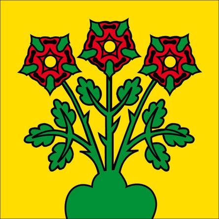 Lostorf flag