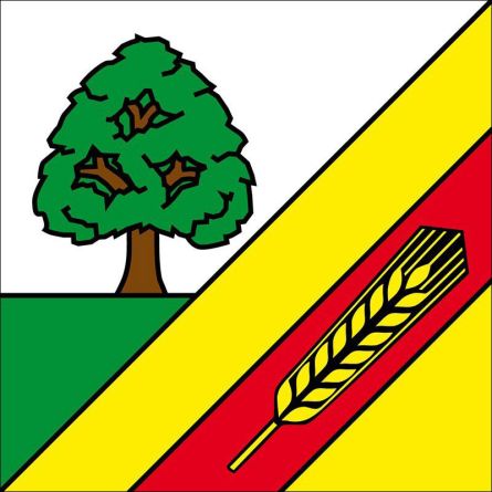 Lüsslingen Nennigkofen flag