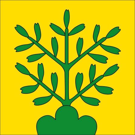 Oberbuchsiten flag