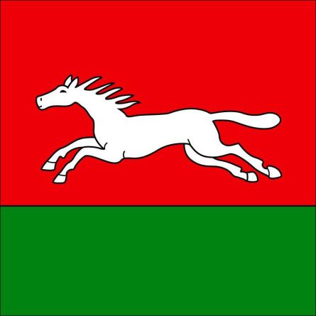 Oekingen flag