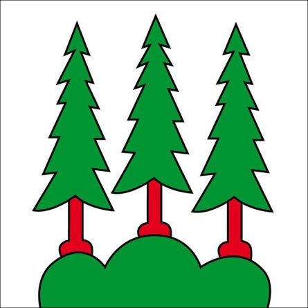 Olten flag