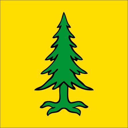 Riedholz flag