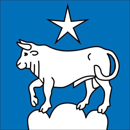Subingen flag