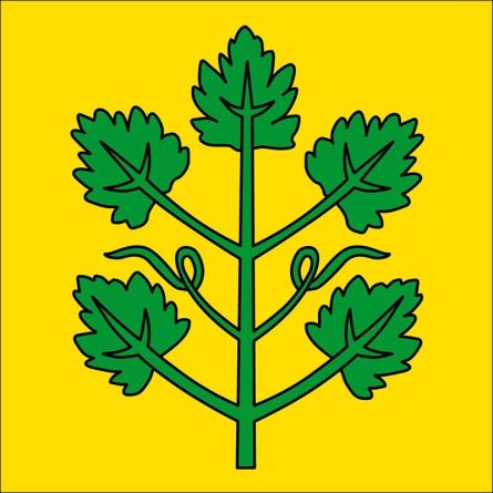 Winznau flag