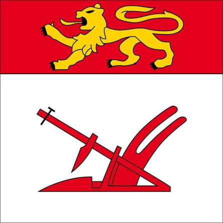 Aranno flag