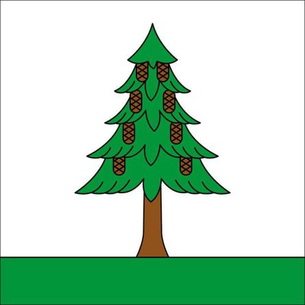 Bedano flag