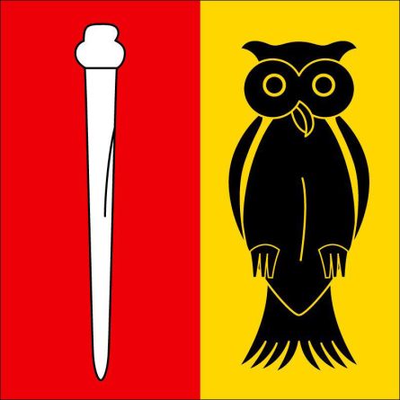 Bedigliora flag