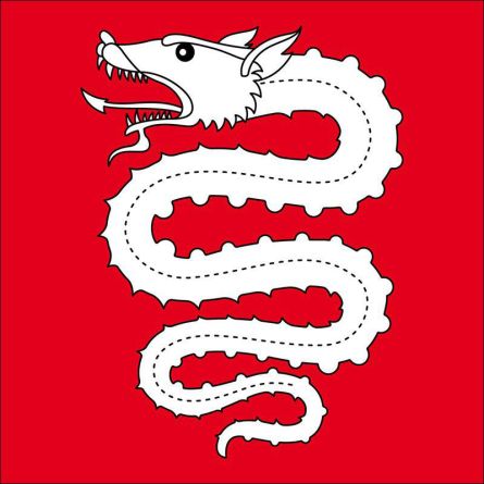 Bellinzona flag