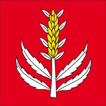 Canobbio flag
