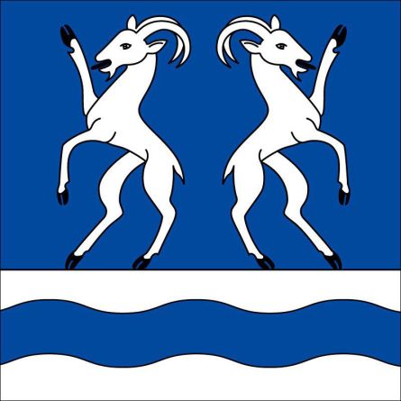 Capriasca flag
