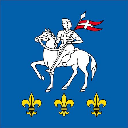 Cevio flag