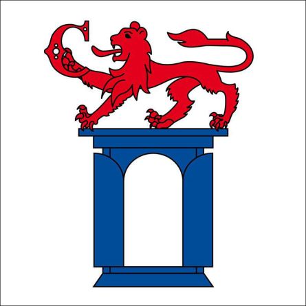 Chiasso flag