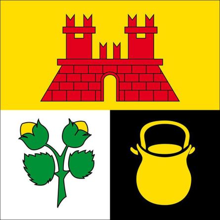Coldrerio flag
