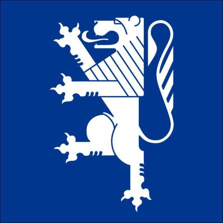 Locarno flag
