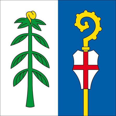 Mezzovico Vira flag