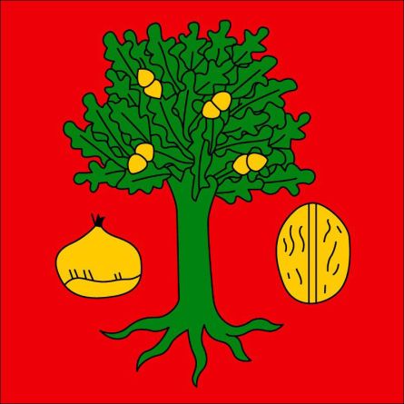 Miglieglia flag