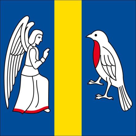 Neggio flag