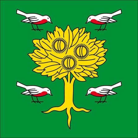 Sorengo flag