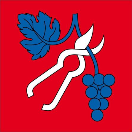 Tenero Contra flag