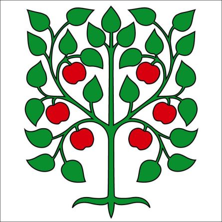 Amriswil flag