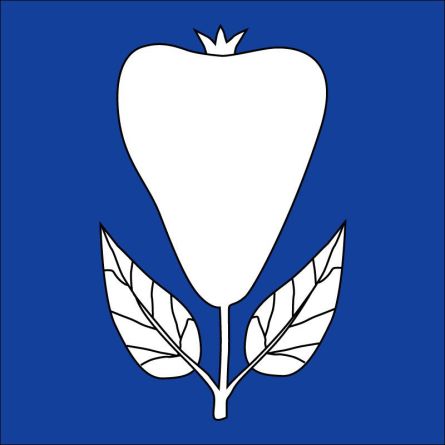 Birwinken flag