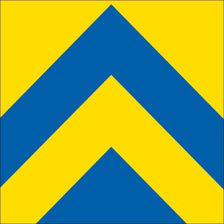 Bussnang flag