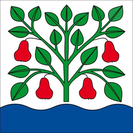 Egnach flag