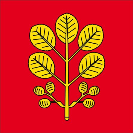 Erlen flag