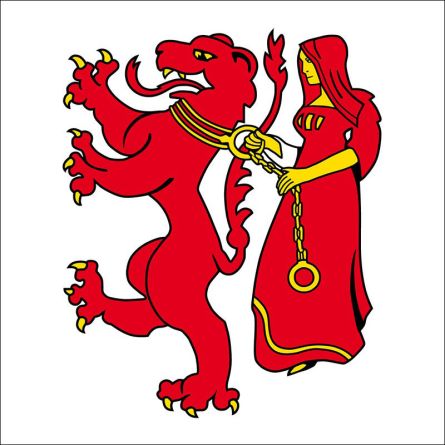 Frauenfeld flag