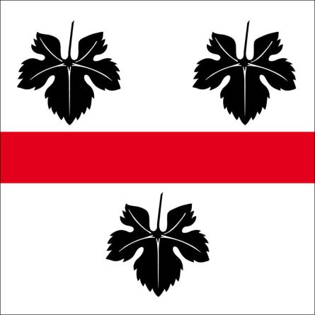 Hüttwilen flag