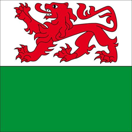 Kesswil flag