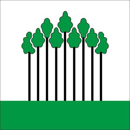 Neunforn flag