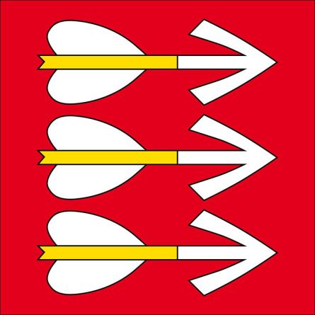 Pfyn flag