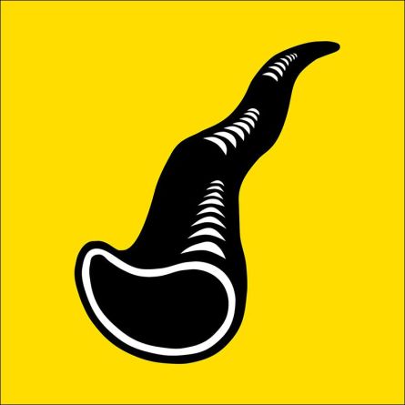 Romanshorn flag