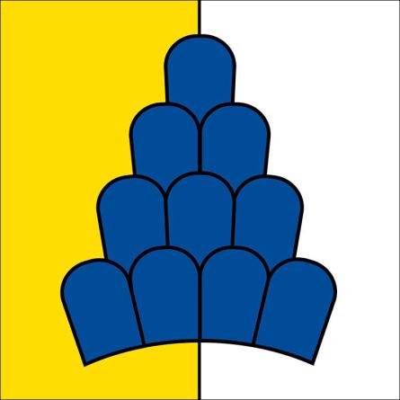 Salenstein flag
