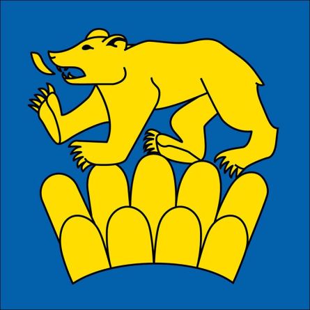 Schönholzerswilen flag