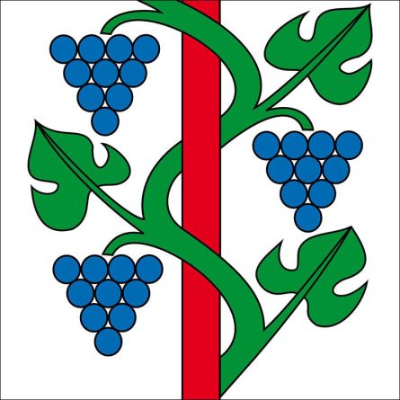 Weinfelden flag
