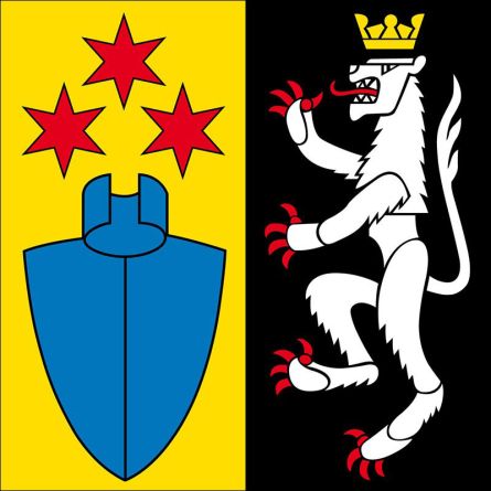 Wigoltingen flag