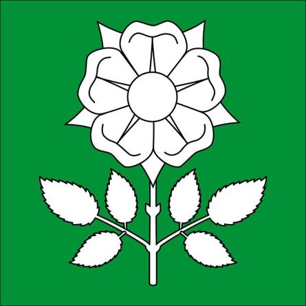 Flüelen flag