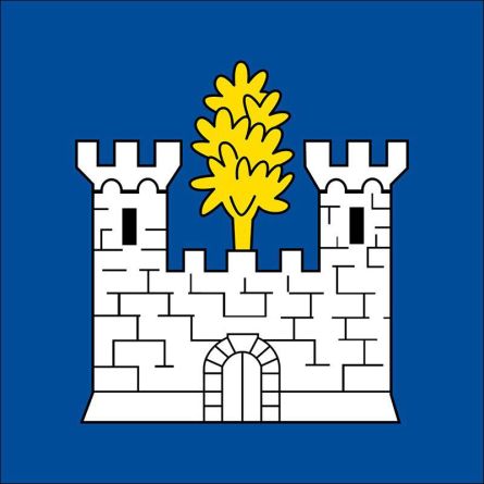 Bovernier flag