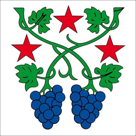 Conthey flag