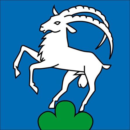 Grône flag