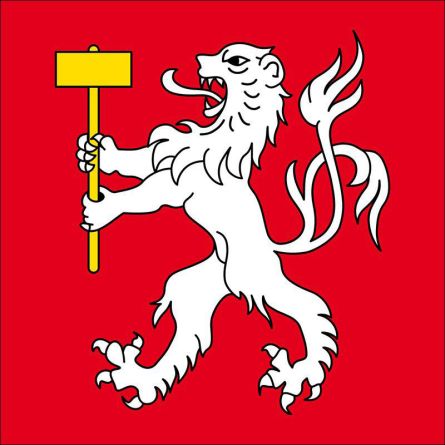 Martigny flag